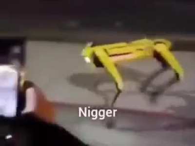Cool robot