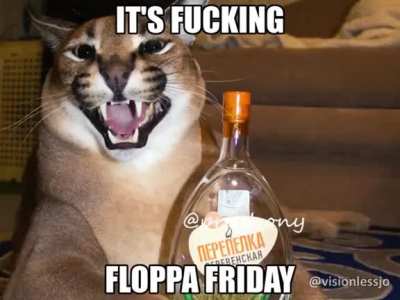 Floppa