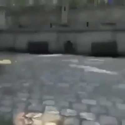 XD