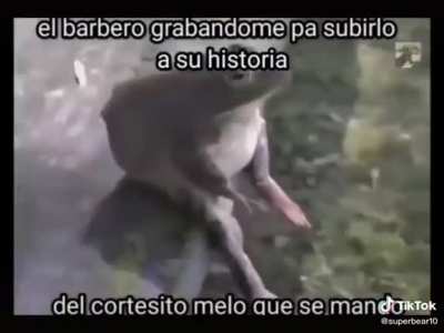 Cortesito CR7