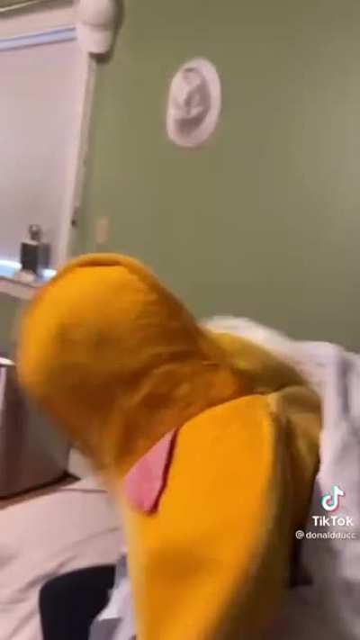 Ah yes thank you donaldducc very cool