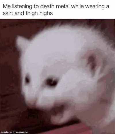 Catboy🤘irl
