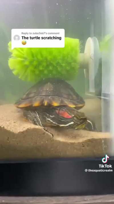 Hope they love this clip as much as I did &eth;&cent;