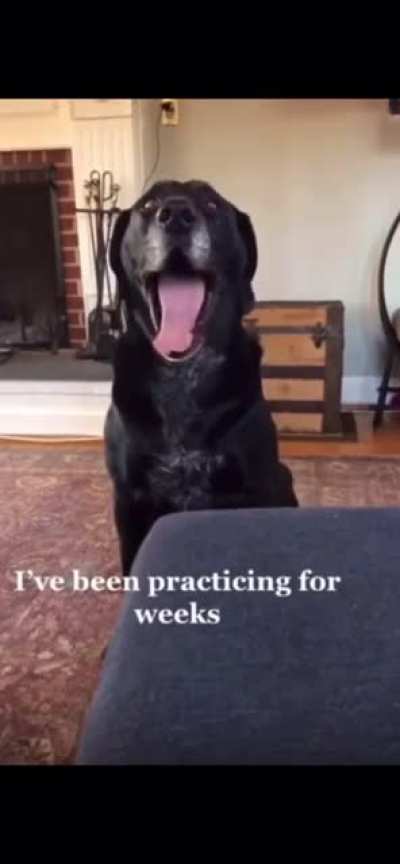 &laquo; Singer &raquo; boi