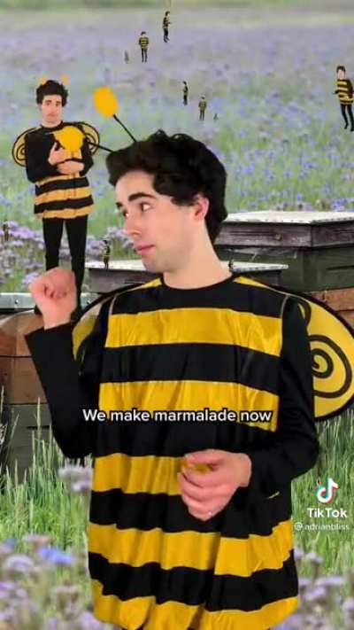 Bee fires beekeeper