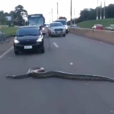 A Normal Day in Brazil
