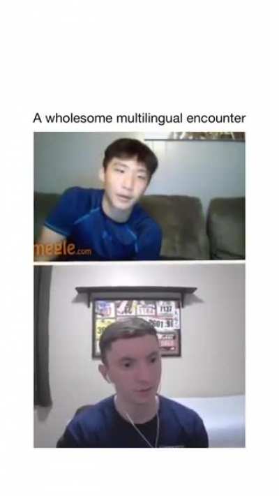 a wholesome multilingual encounter