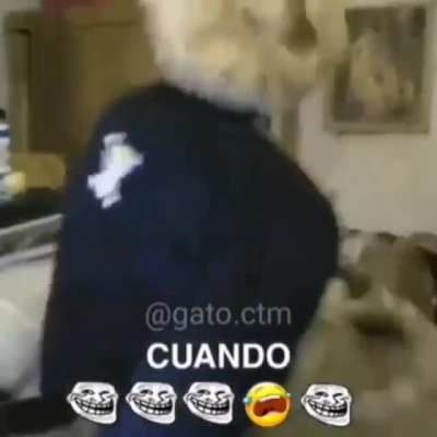 Trolololo