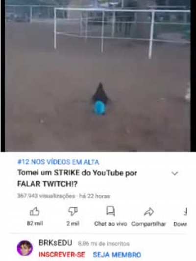 Twitchi