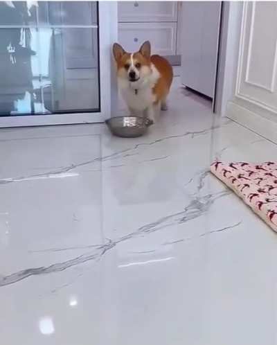 The betrayal