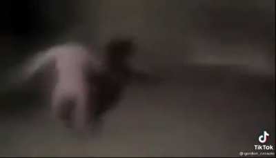 Hèŕò ďè pùtà