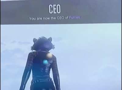 CEO&mdash;You are now the CEO of Furries