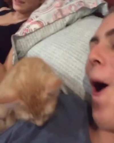 You seeing this cat