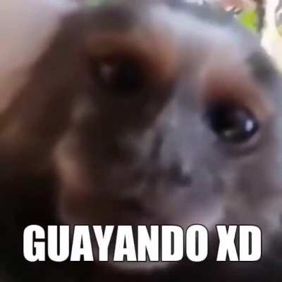 guayando