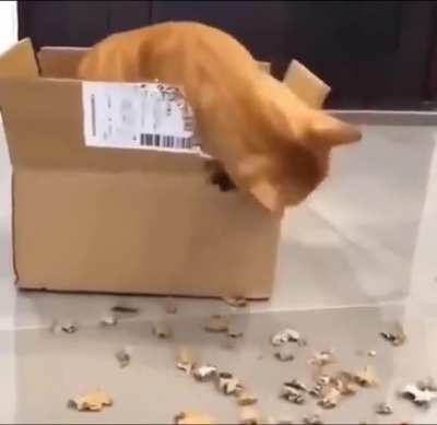 Scrumptious