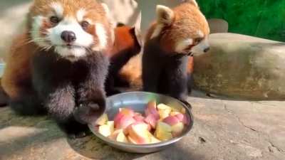 Cute babies eating &amp;lt;3