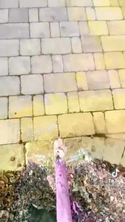 Broken gif