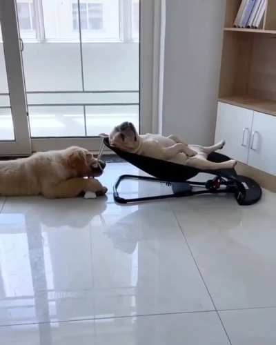 Zzzzzzz ....