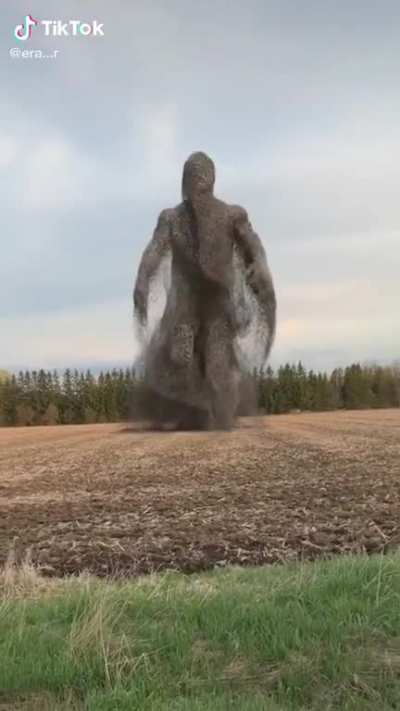 Dirt man