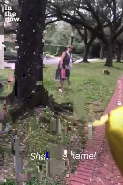 Woman yells and hits a married couple's phone (while they were carrying a baby) because they were black and white claiming it is because they are having photoshoot 