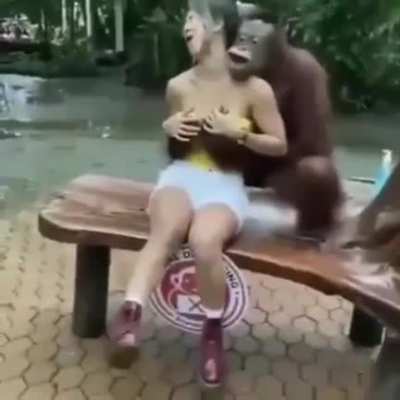 Macaco sapeca