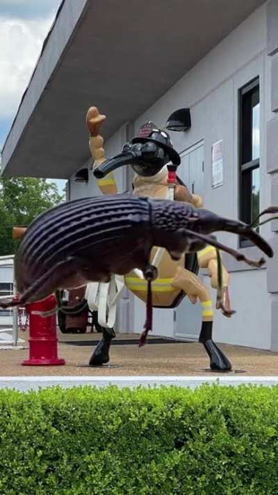 Weevilquest