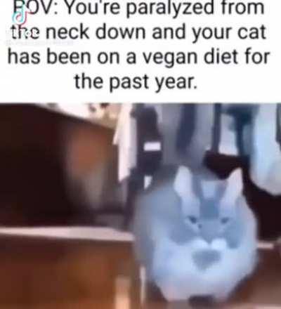 eat