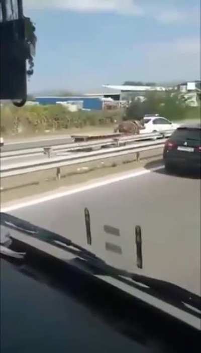 High speed horse chase