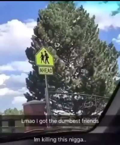 Damn