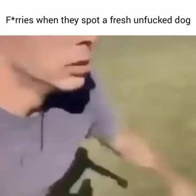 F*rries 🤢