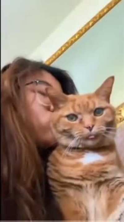 Well the cat wasn&rsquo;t having it