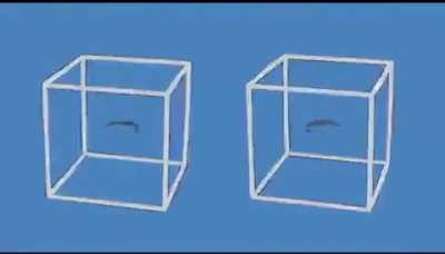 These boxes are not moving