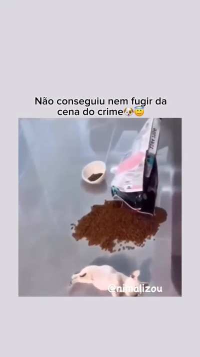 Pegaram o miliante