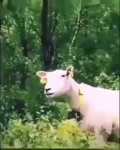M&eacute;