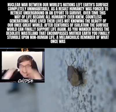 🪲