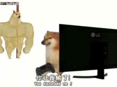 Shitpost