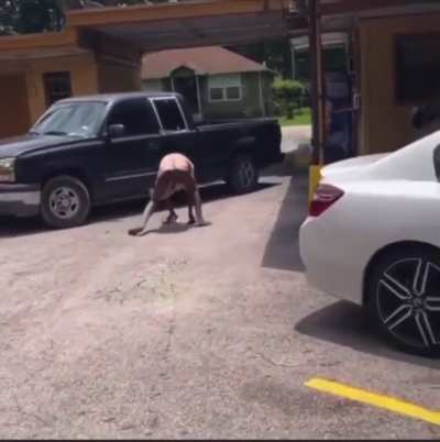 Prostitute steals client&rsquo;s truck after he refused to pay.