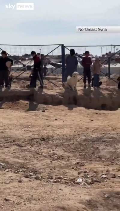 Syrian government forces have just captured the largest ISIS prison in Syria from the Kurdish-led SDF.