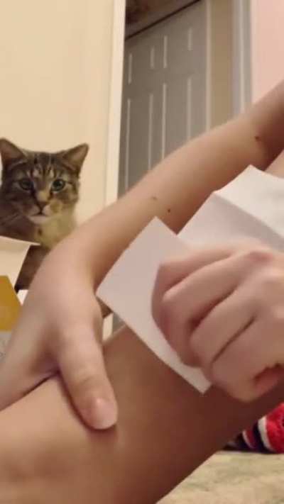 Что ж ты делаешь, Наташ?!