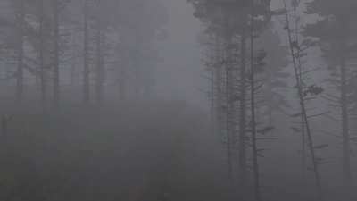 When the Welsh fog sets in...