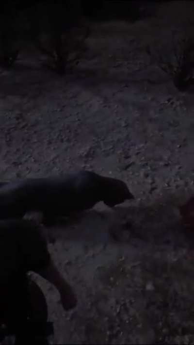Found this on YT, not sure if this has already been posted