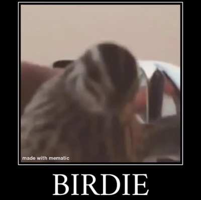 Birdie Joins The Battle 👍