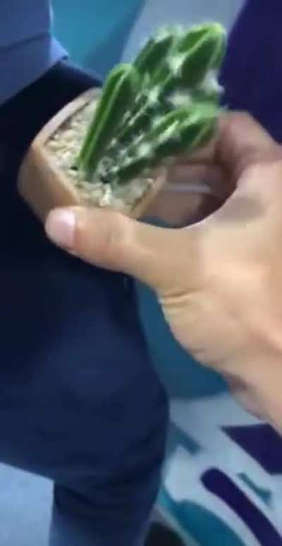 Just a little prick