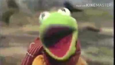 Kermit Dies In A Tragic Bicycle Accident...