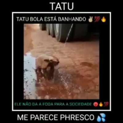 so boa💪💥