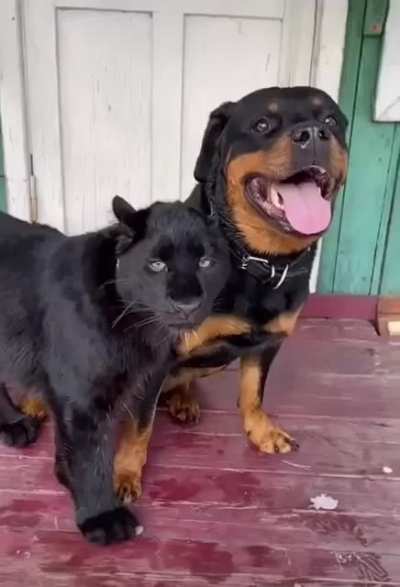 Two best friends...