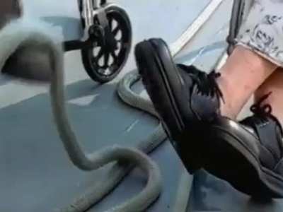 moldy kart