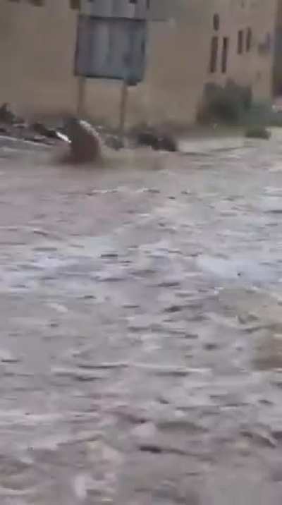 Man saves a cat from drowning in Oman
