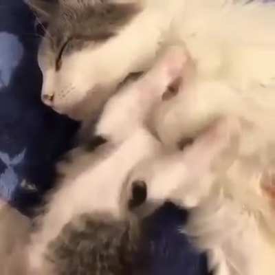 3 ночи, вставай, пора тыгыдычить