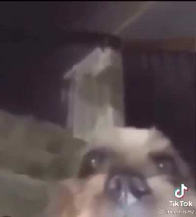 😬